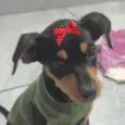 Kika 