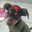Kika
