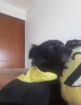 Lua