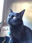 Keila