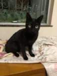 Keila