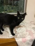 Keila