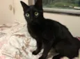 Keila