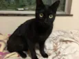 Keila