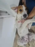Nina