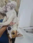 Nina