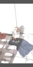 Bella
