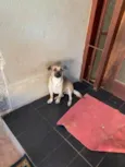 Fiona