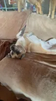 Fiona