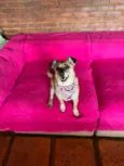 Fiona