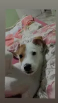 Kiara