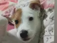 Kiara