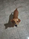 Mel