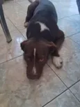 Bobby
