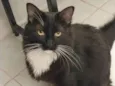 Salém