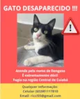 Dengoso