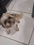 Oliver