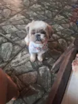 Oliver