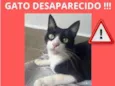 Dengoso
