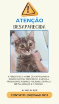 Sapequinha