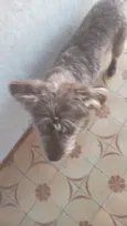 FRED