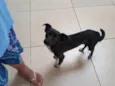 Pretinho
