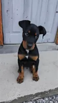 Astro