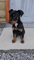Astro