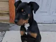 Astro