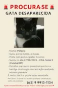 pelucia