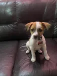 marty