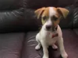 Marty