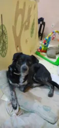 Keiko