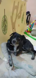 Keiko