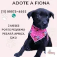 Fiona