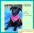 Fiona
