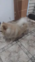Lucky