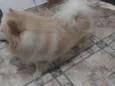 Lucky