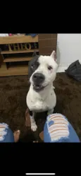 Bruce