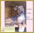 Vitória