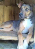 Vitória
