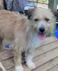 Timóteo