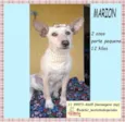 Marion