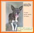 Madalena