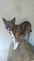 Madalena
