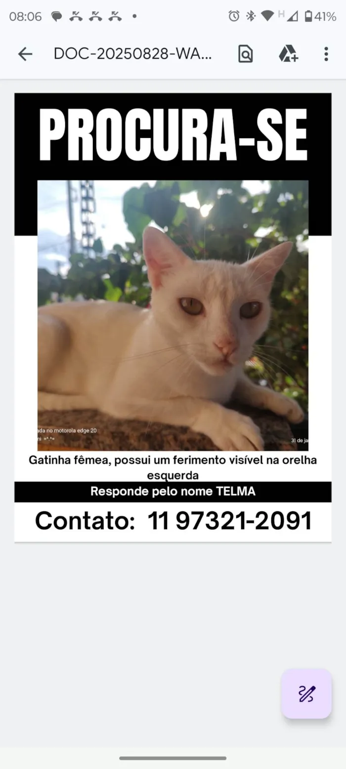 Gato ra a SRD-ViraLata idade 5 anos nome Danieli Izabela Coelho Fernandes 