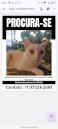 Danieli Izabela Coelho Fernandes