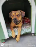 Suzi