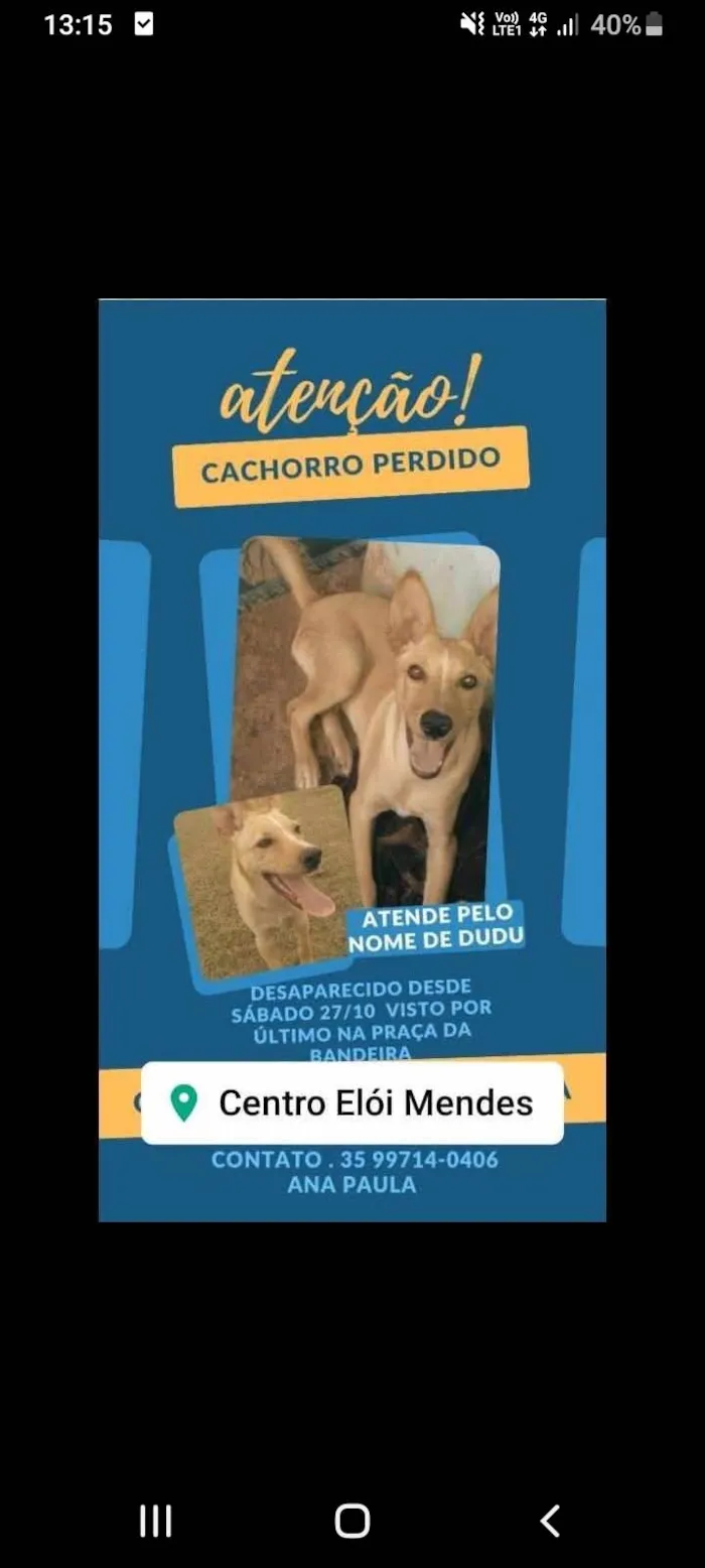 Cachorro ra a SRD-ViraLata idade 4 anos nome Dudu