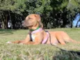 Carmela